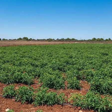 Alloggio per agriturismo Masseria Le Creste